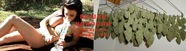 бутират Баксан