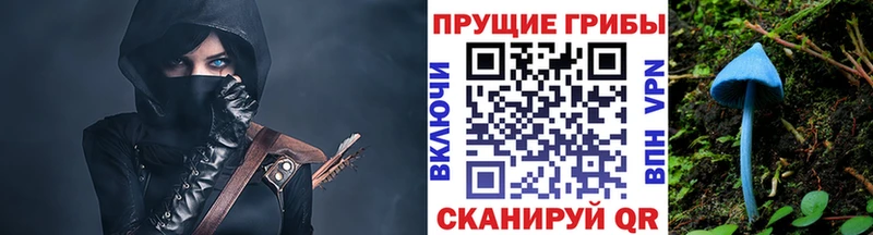 Галлюциногенные грибы MAGIC MUSHROOMS  продажа наркотиков  Нягань 